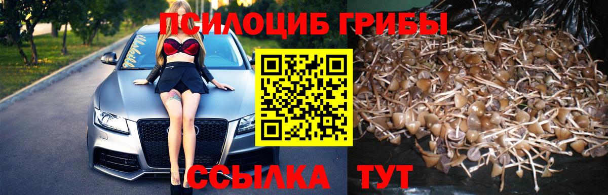 Псилоцибиновые грибы ЛСД  Вход с VPN  Ставрополь 